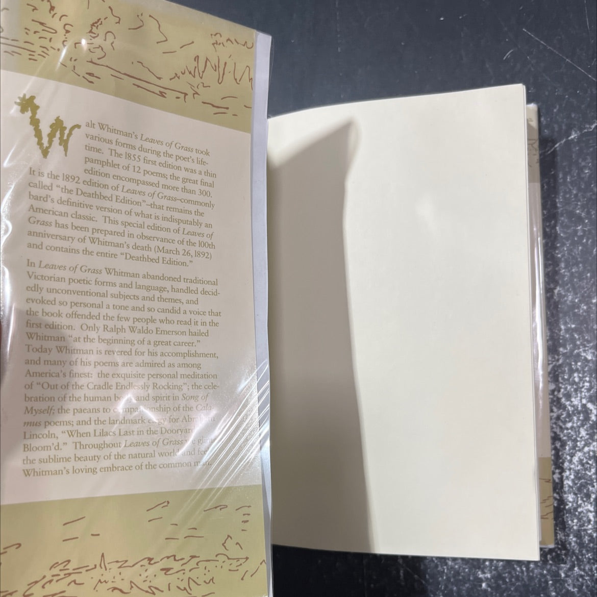 leaves of grass book, by walt whitman, 1992 Hardcover image 4
