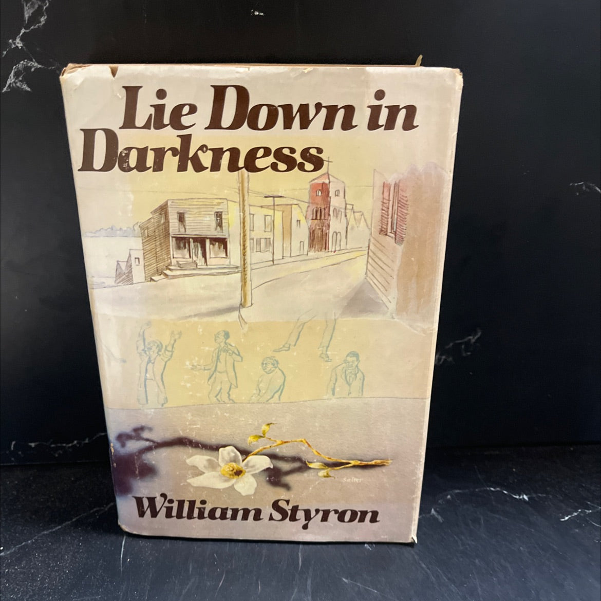 lie down in darkness book, by William Styron, 1979 Hardcover image 1