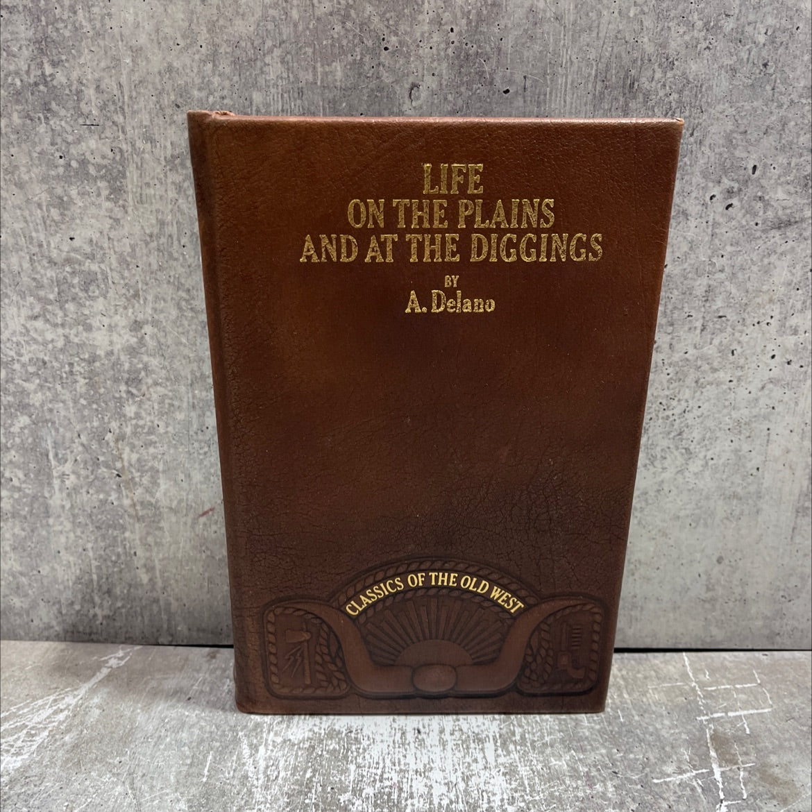 life on the plains and among the diggings; being scenes and adventures of an overland journey to california: with image 1