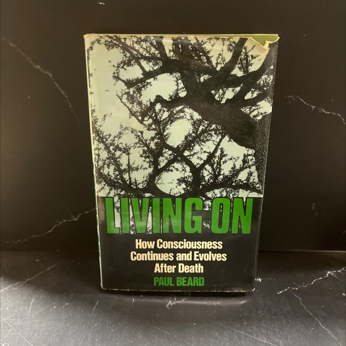 living on how consciousness continues and evolves after death book, by Paul Beard, 1981 Hardcover image 1