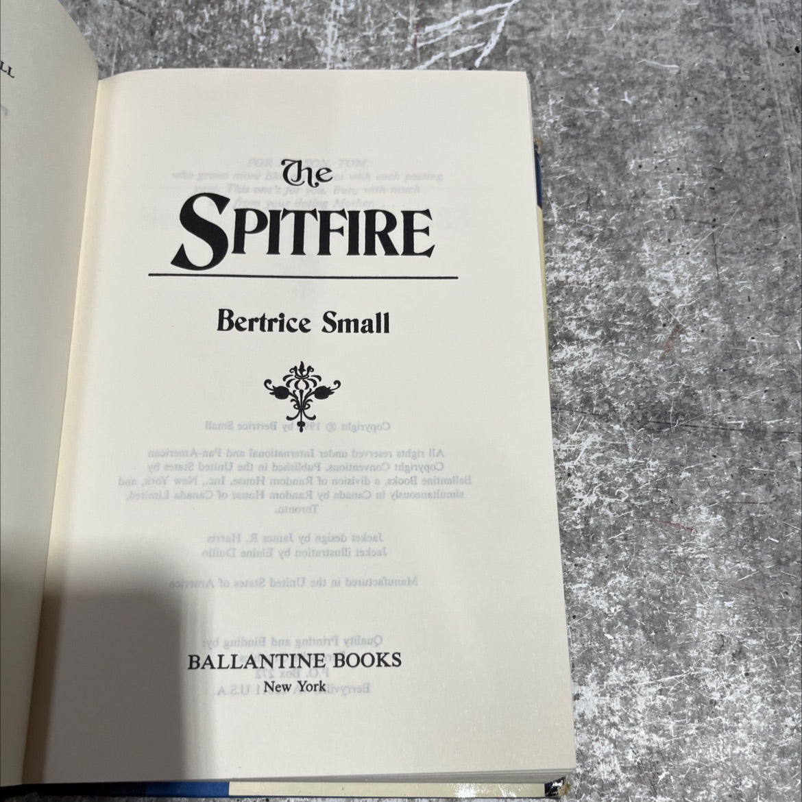 ll on tom the spitfire book, by Bertrice Small, 1990 Hardcover image 2