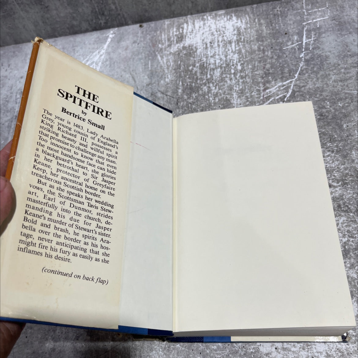 ll on tom the spitfire book, by Bertrice Small, 1990 Hardcover image 4