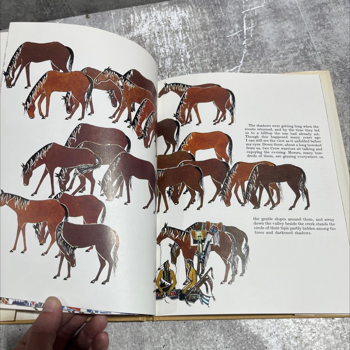 lone bull's horse raid book, by paul and dorothy goble, 1975 Hardcover image 4
