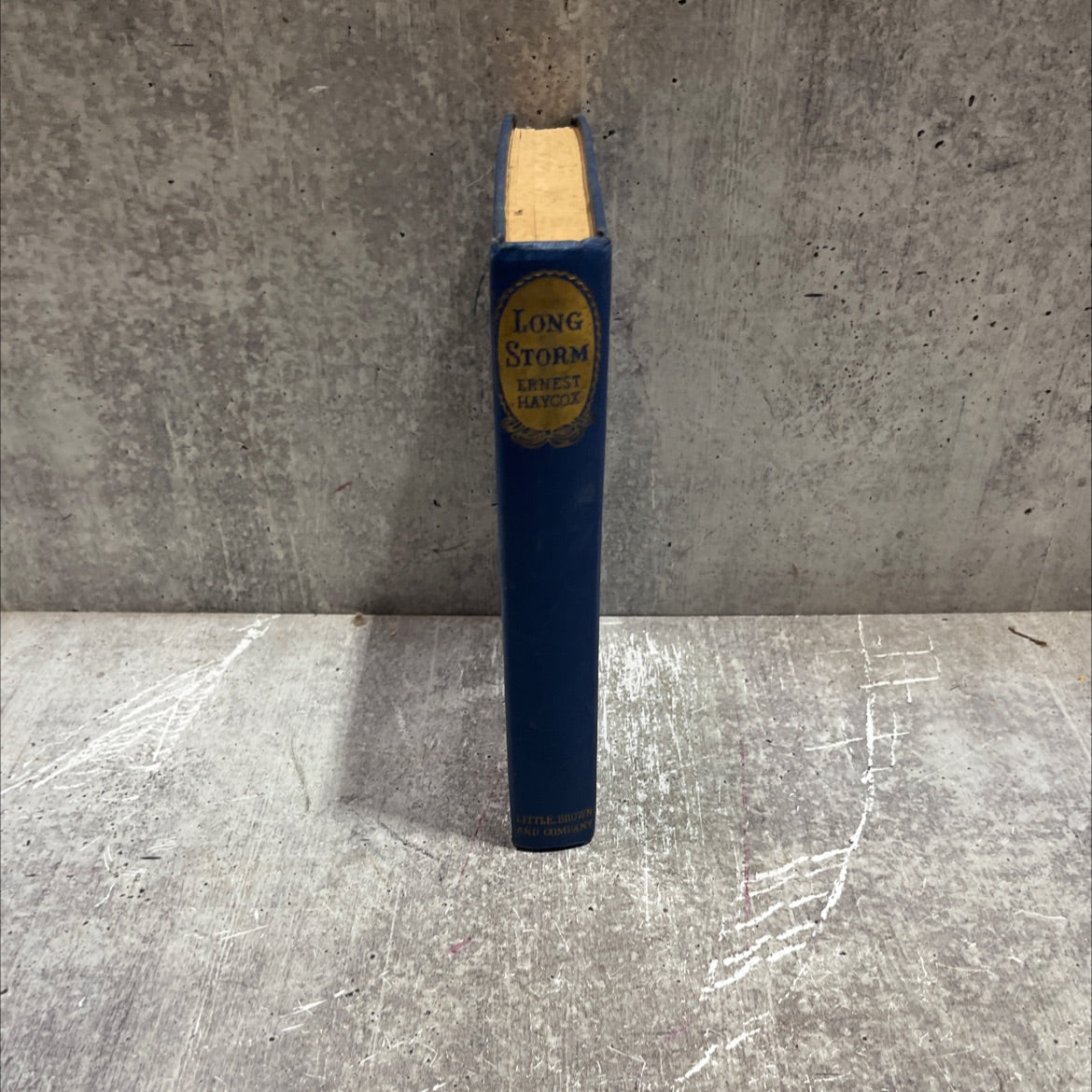 long storm book, by ernest haycox, 1946 Hardcover image 4