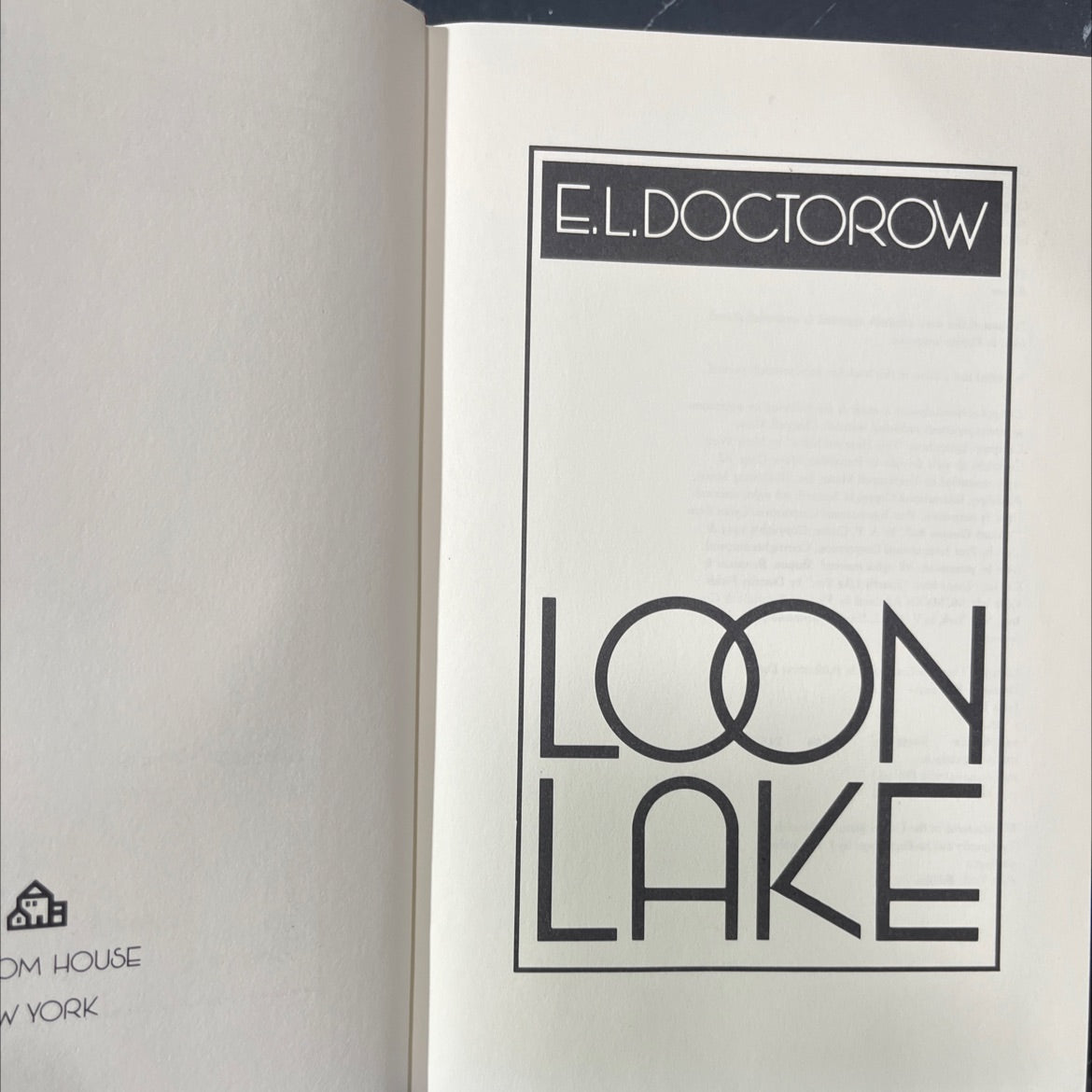 loon lake book, by E.L. Doctorow, 1980 Hardcover image 2