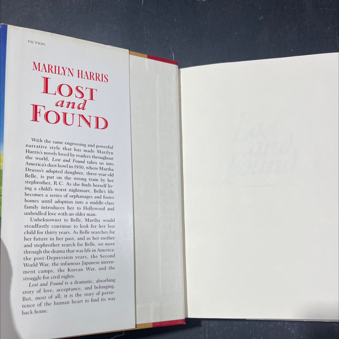 lost for de, just a found book, by Marilyn Harris, 1992 Hardcover image 4