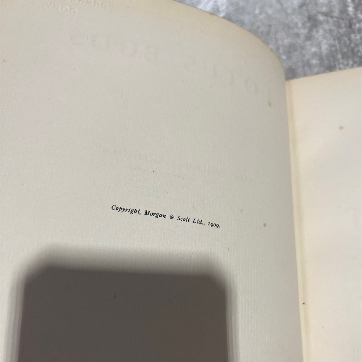 lotus buds book, by amy wilson-carmichael, 1909 Hardcover image 3