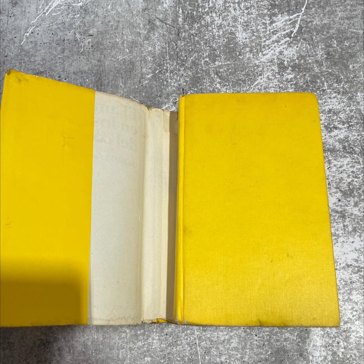 love in the time of cholera book, by Gabriel Garcia Marquez, 1988 Hardcover image 4