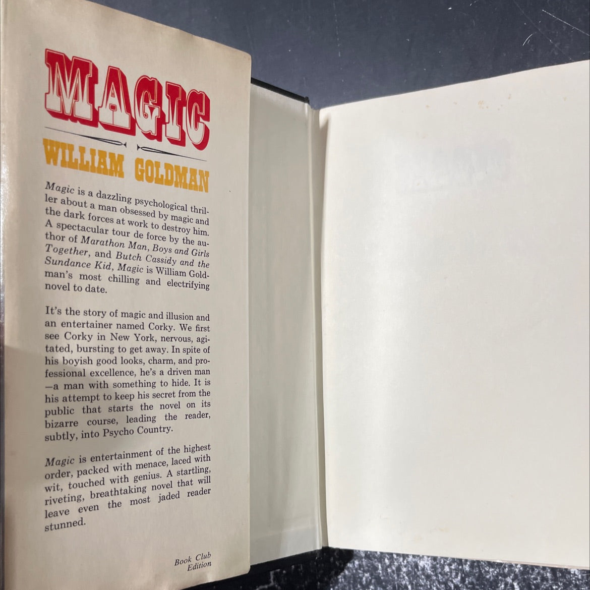 magic book, by william goldman, 1976 Hardcover image 4