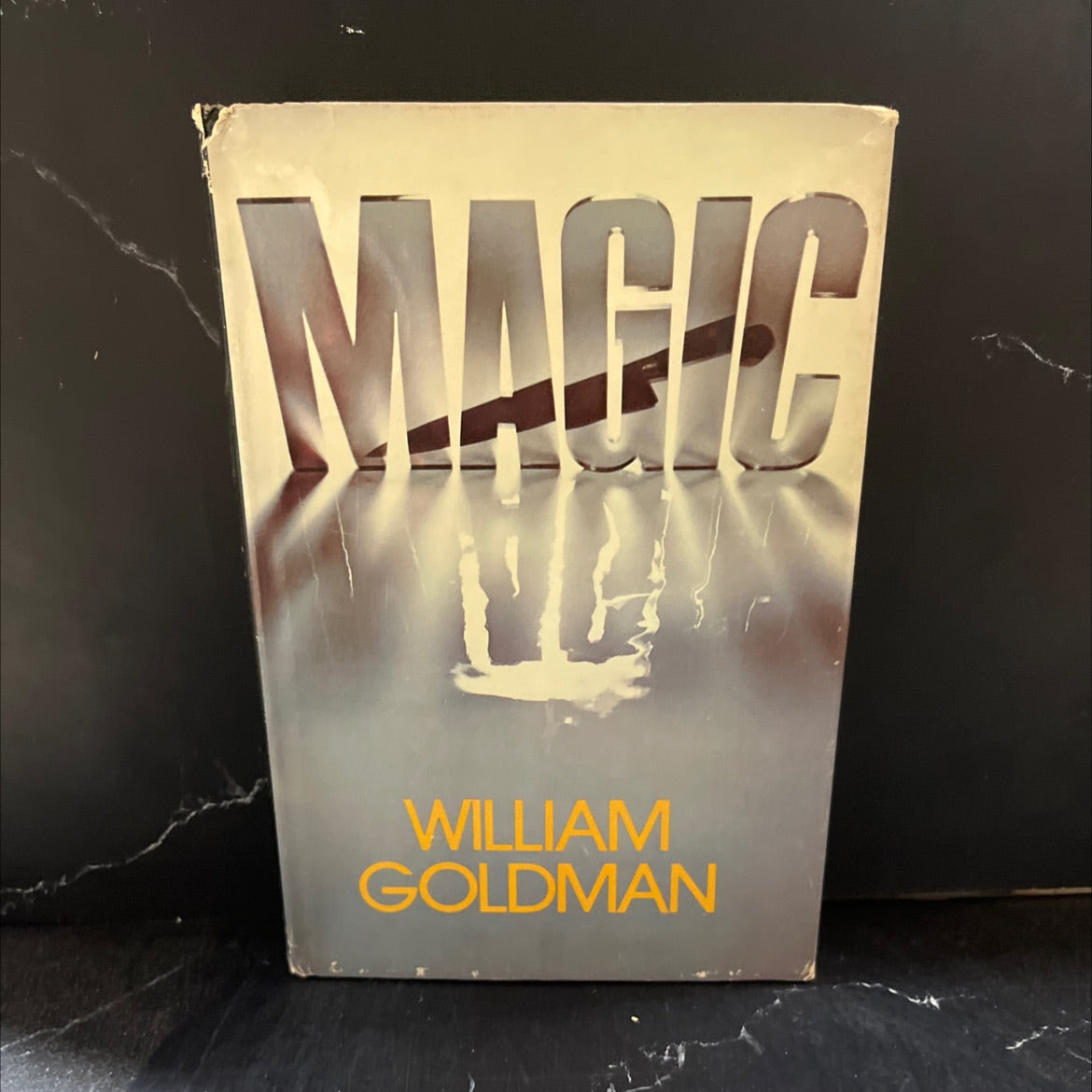 magic book, by william goldman, 1976 Hardcover image 1
