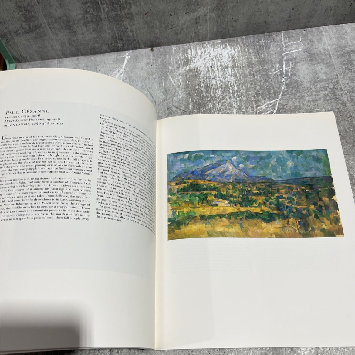 masterpieces of impressionism & post-impressionism: the annenberg collection book, by Colin B. Bailey, Joseph J. image 4