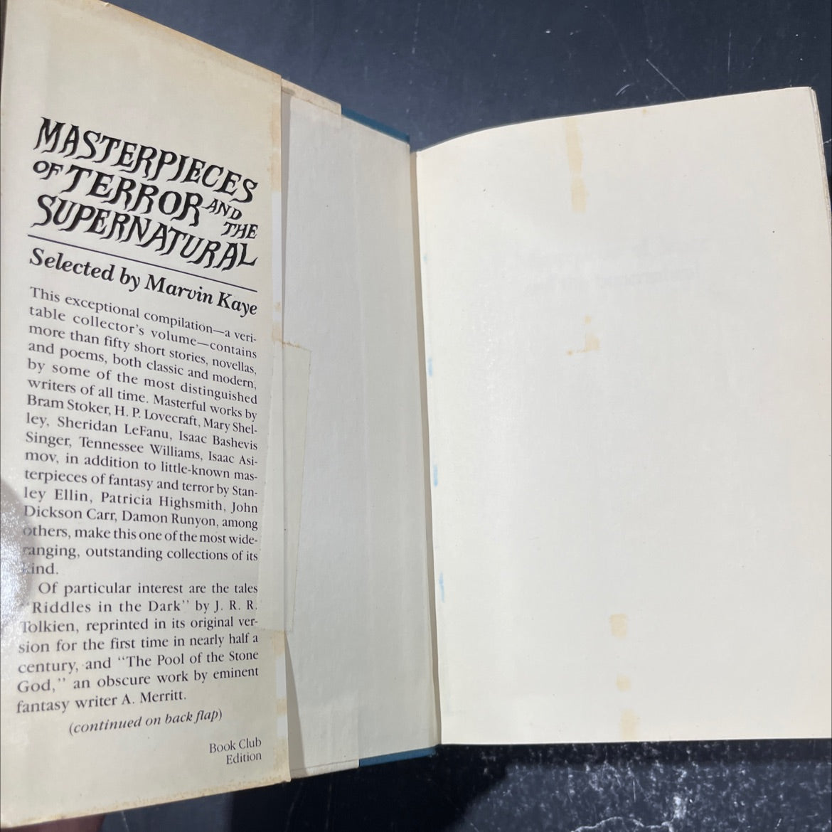 masterpieces of terror and the supernatural book, by Marvin Kaye, Saralee Kaye, 1985 Hardcover image 4