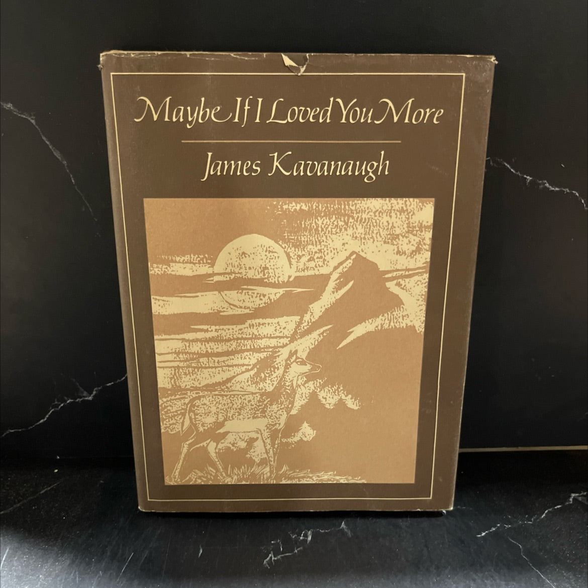 maybe if i loved you more book, by James Kavanaugh, 1982 Hardcover image 1