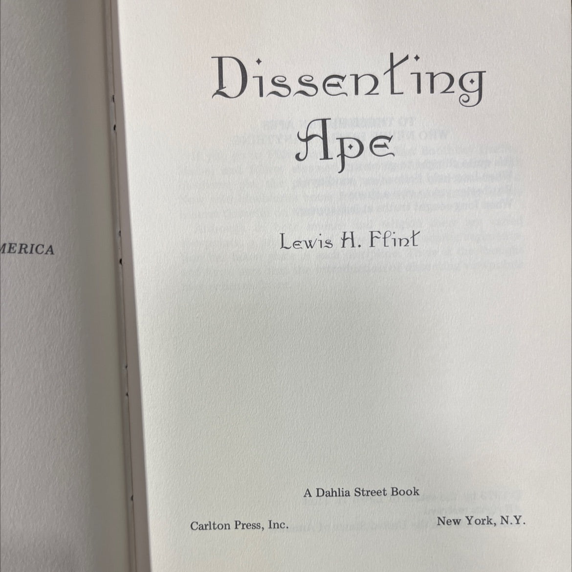 merica dissenting book, by lewis h. flint, 1973 Hardcover image 2