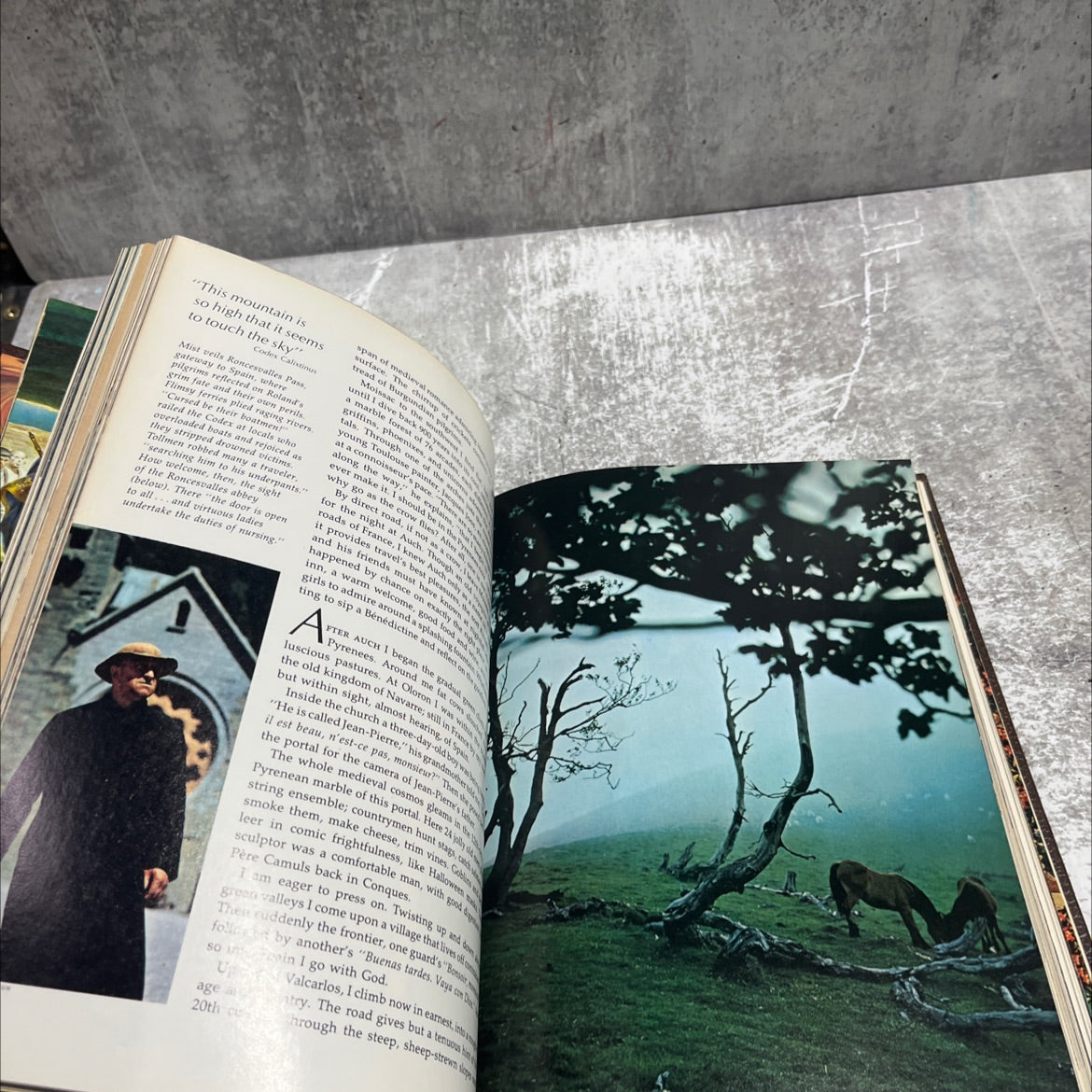 middle ages book, by melville bell grosvenor, 1977 Hardcover image 4