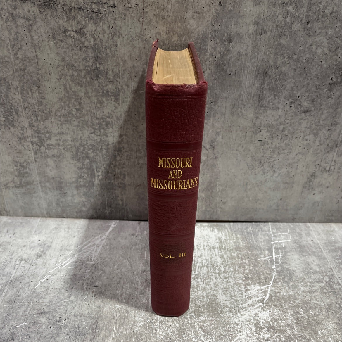 missouri and missourians land of contrasts and people of achievements volume iii missouri biography book, by floyd image 4
