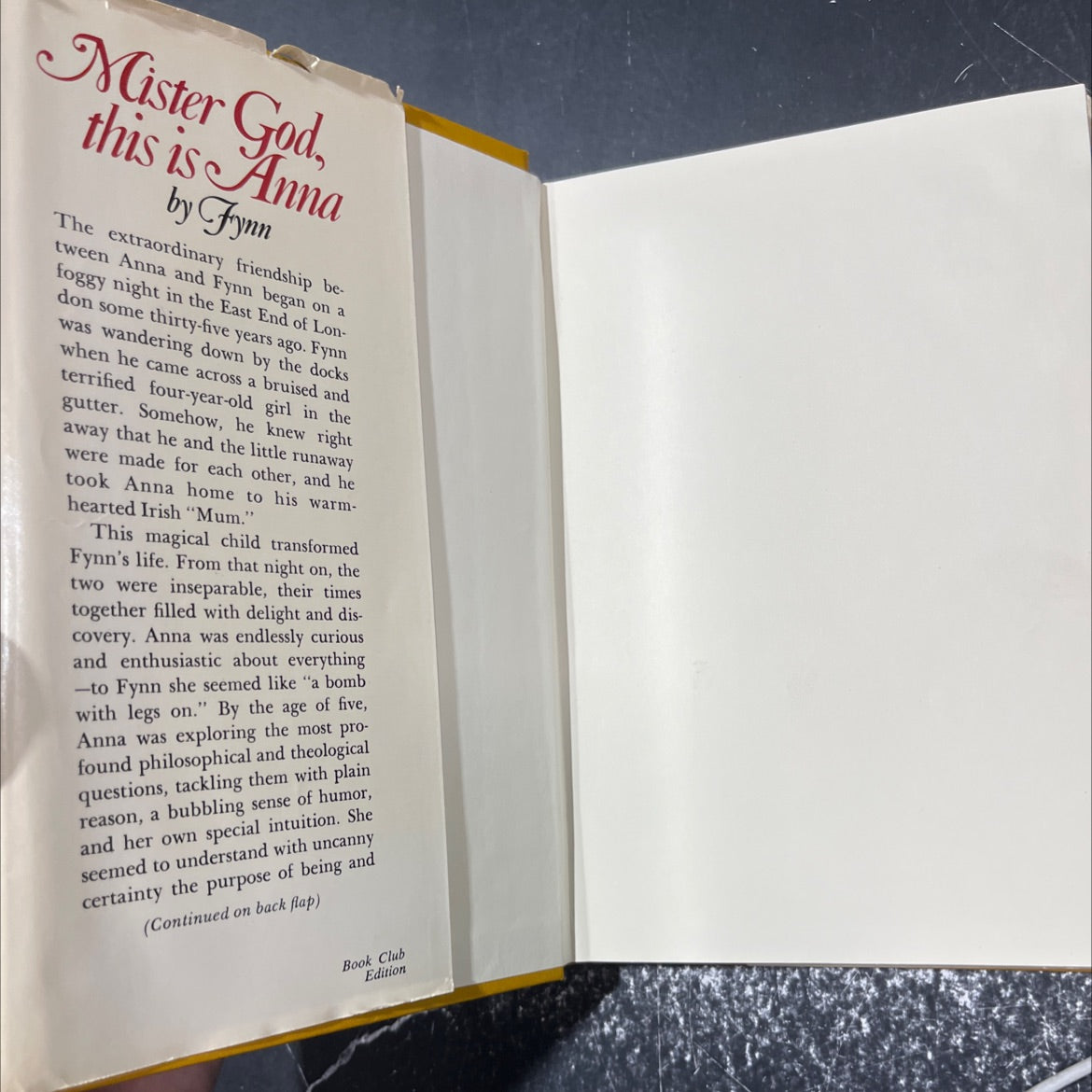 mister god. this is anna book, by fynn, 1975 Hardcover image 4