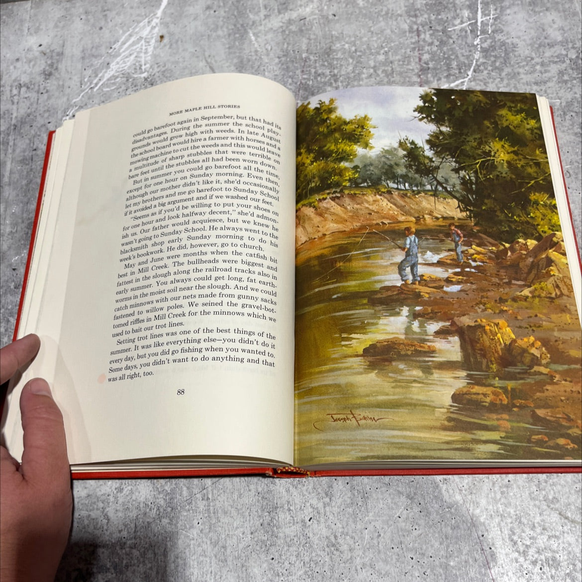 more maple hill stories book, by Roderick Turnbull, 1974 Hardcover image 4