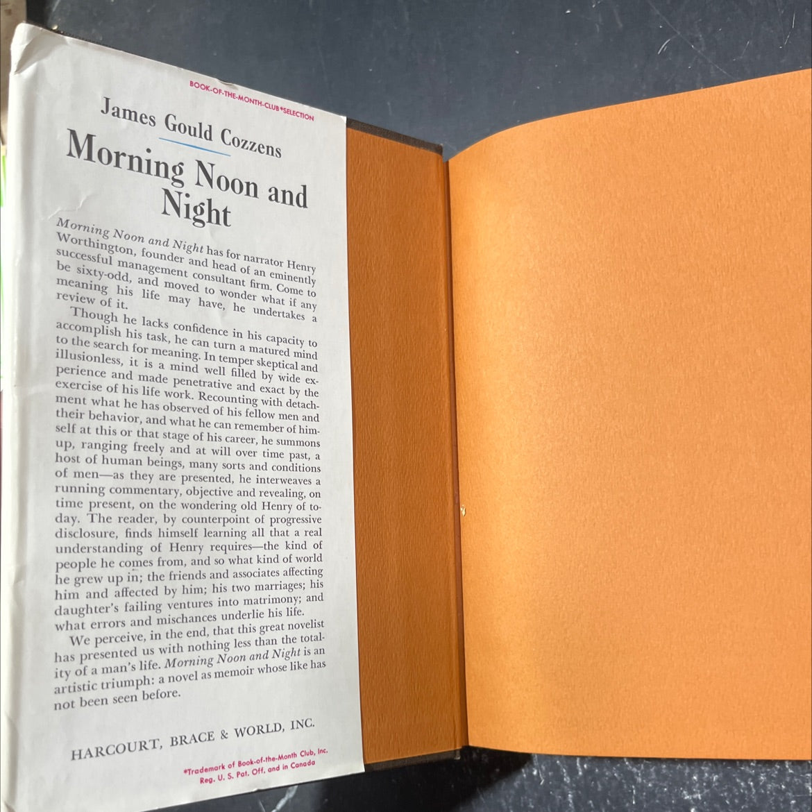 morning noon and night book, by james gould cozzens, 1968 Hardcover image 4