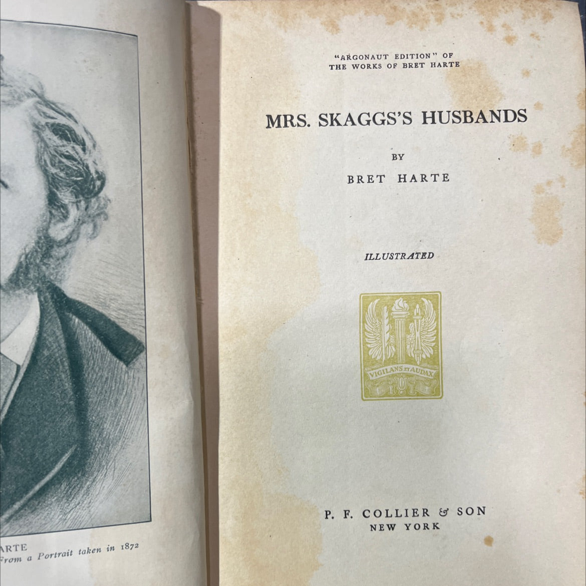 mrs. skaggs's husbands book, by bret harte, 1900 Hardcover image 2
