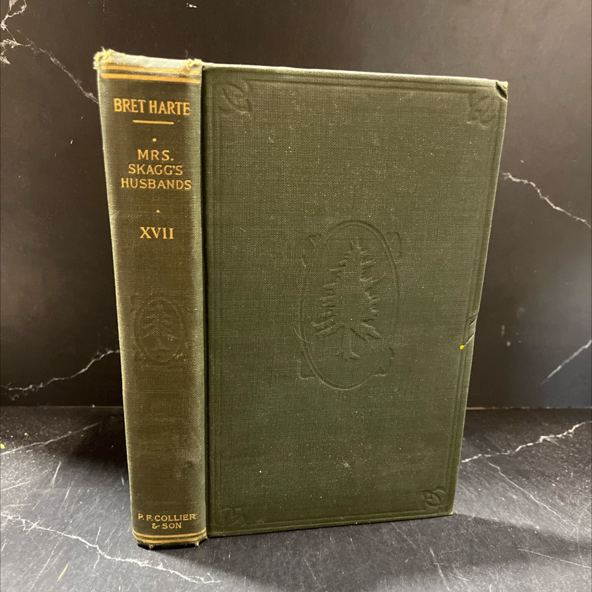 mrs. skaggs's husbands book, by bret harte, 1900 Hardcover image 1