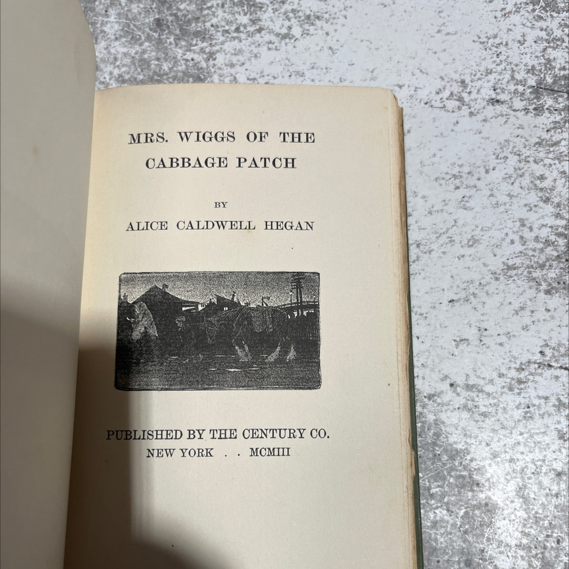 mrs. wiggs of the cabbage patch book, by alice caldwell hegan, 1903 Hardcover image 2