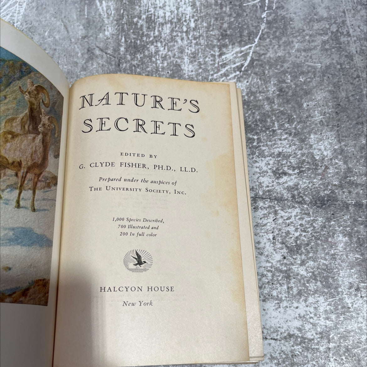 nature's secrets book, by g. clyde fisher, 1927 Hardcover image 2