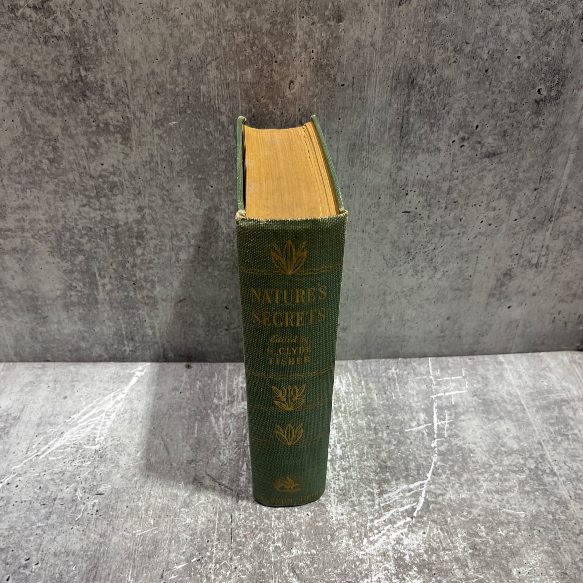 nature's secrets book, by g. clyde fisher, 1927 Hardcover image 4