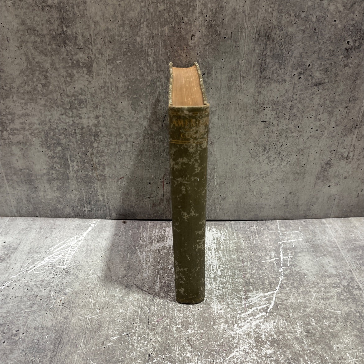 niagara falls america picturesque & descriptive book, by joel cook, 1900 Hardcover image 4