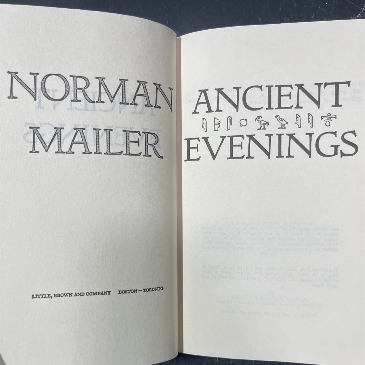 norman mailer evenings book, by norman mailer, 1983 Hardcover image 2