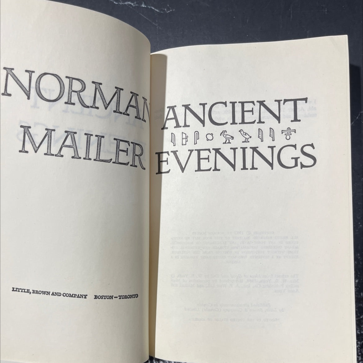 norman mailer evenings book, by norman mailer, 1983 Hardcover image 2