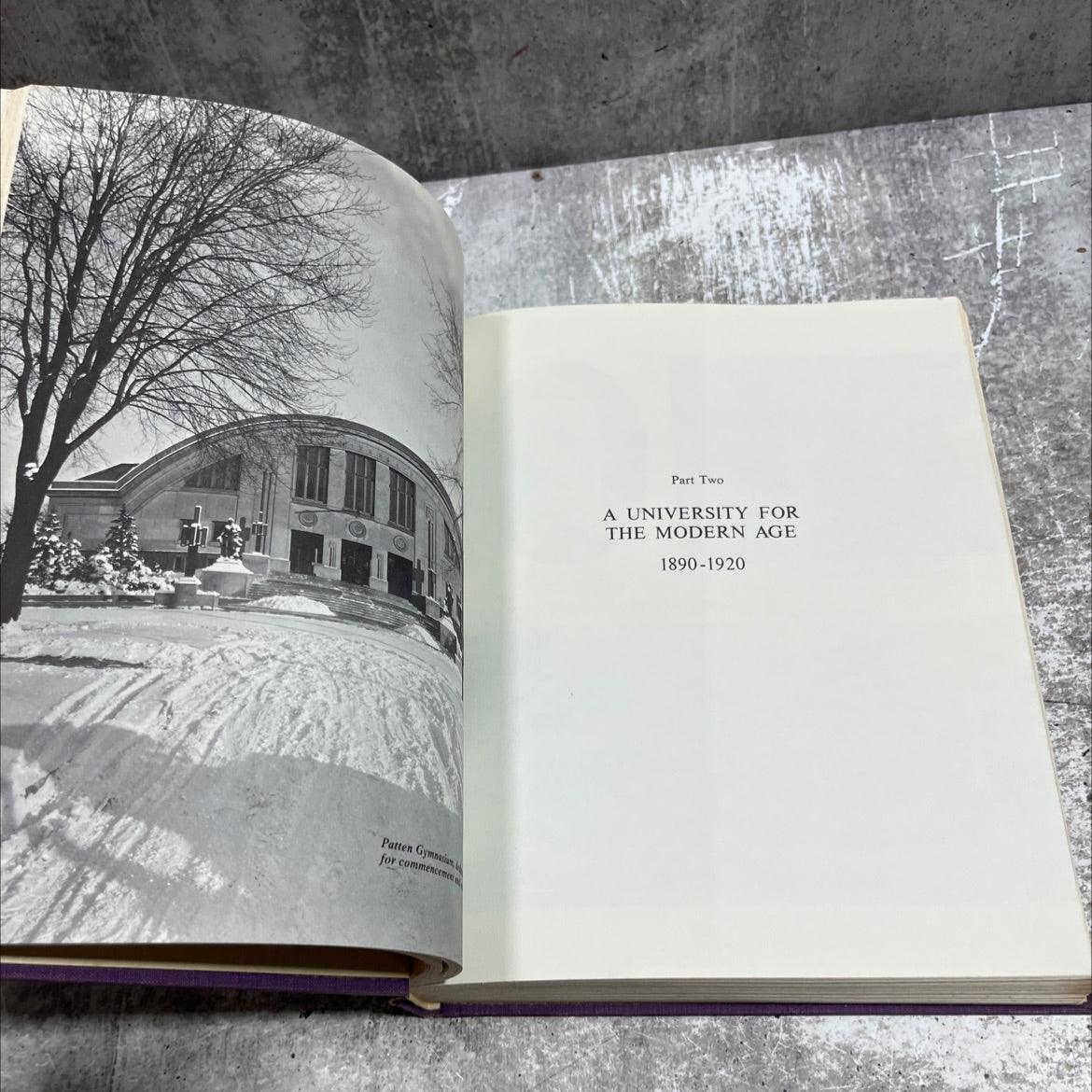 northwestern university a history 1850-1975 book, by harold f. williamson and payson s. wild, 1976 Hardcover image 4