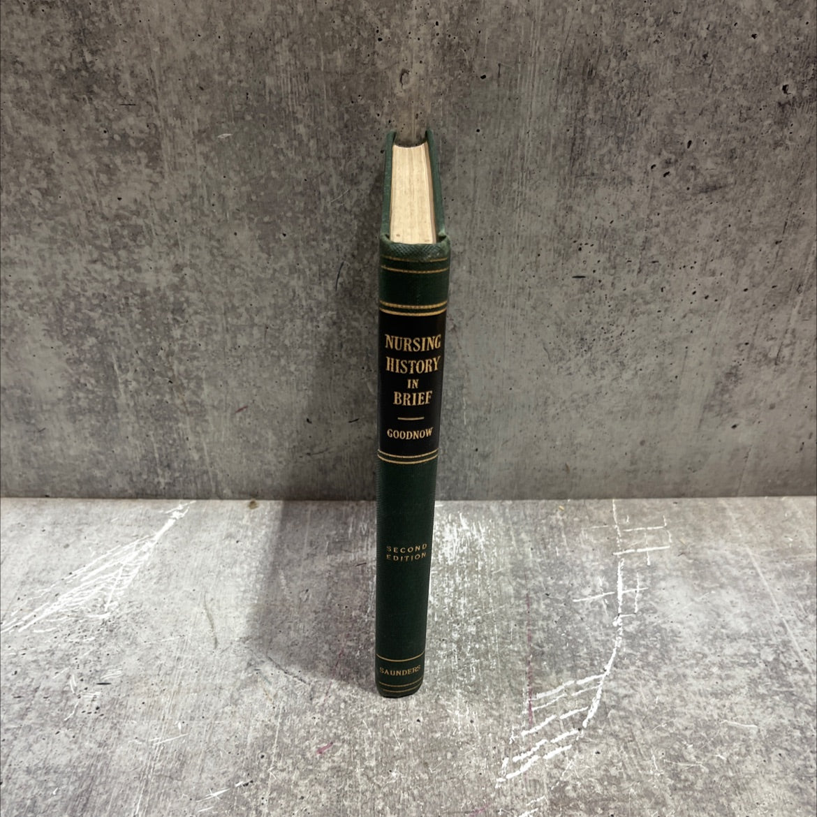 nursing history in brief book, by minnie goodnow, r.n., 1943 Hardcover image 4