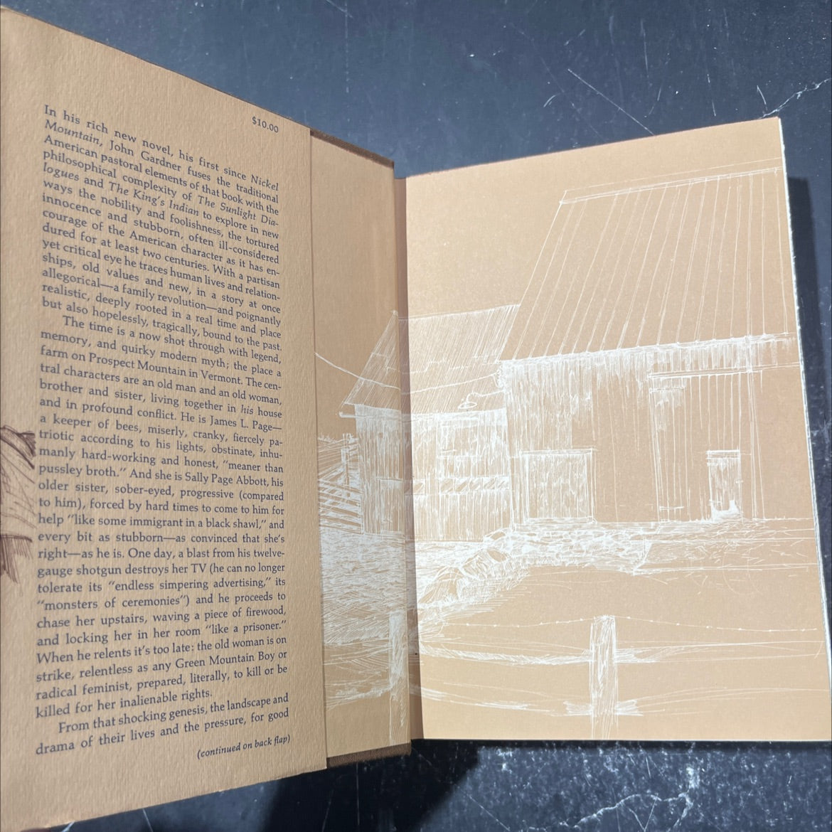october light book, by john gardner, 1976 Hardcover image 4