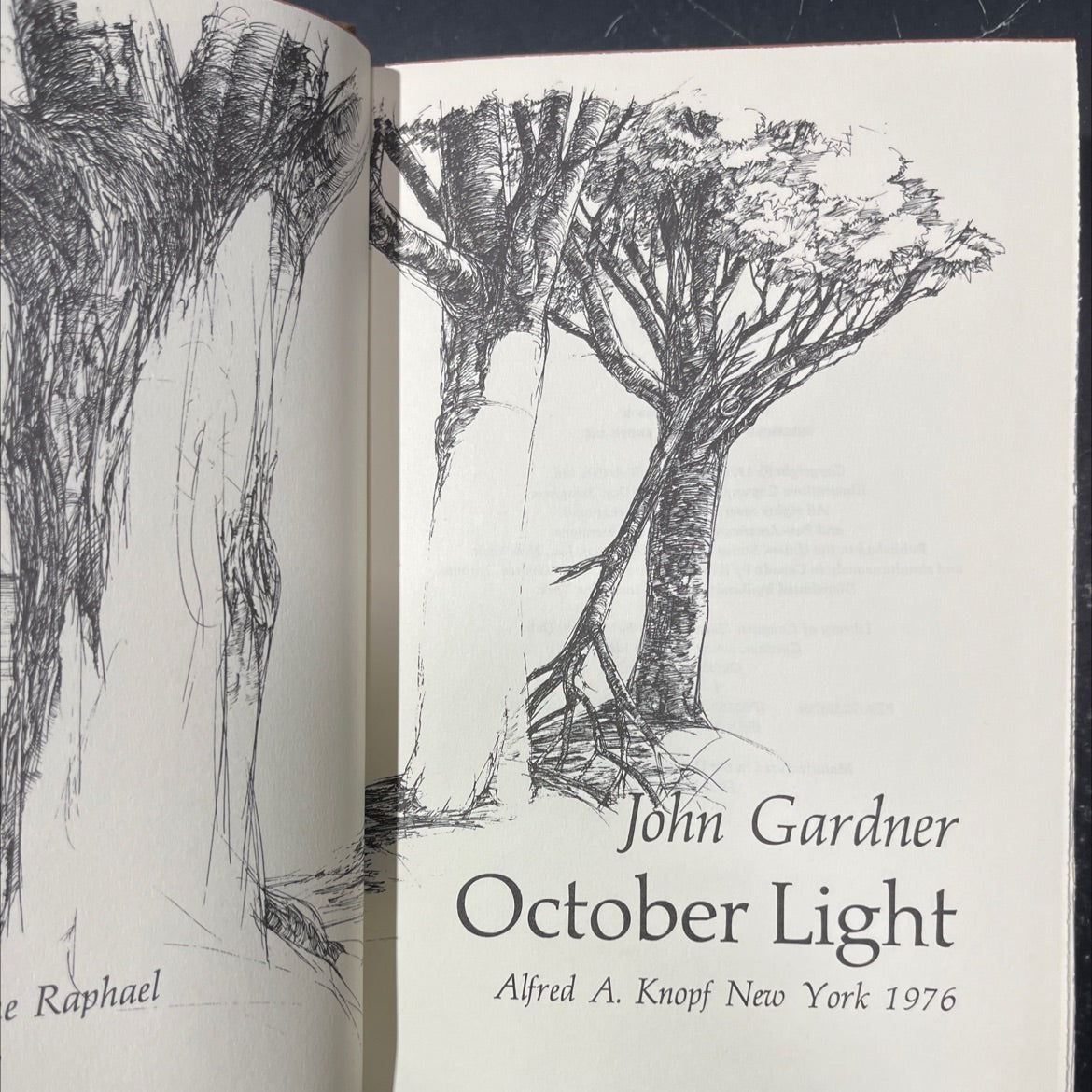 october light book, by john gardner, 1976 Hardcover image 2
