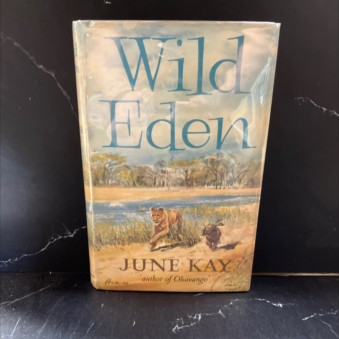 okavango night wild eden book, by june kay, 1964 Hardcover image 1