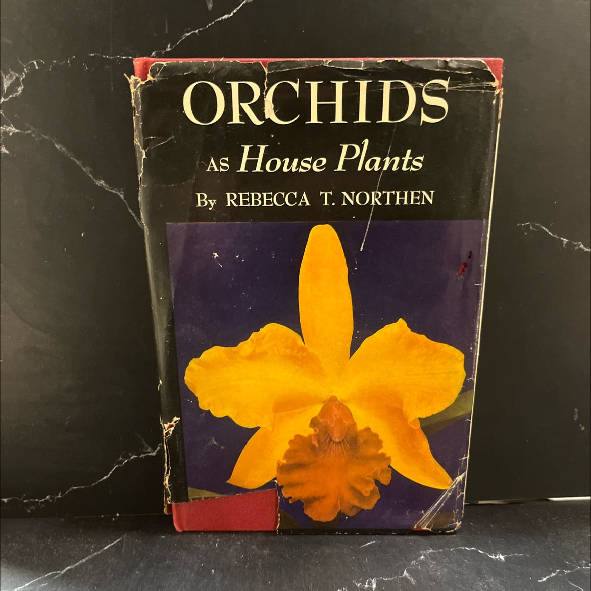 orchids as house plants book, by rebecca tyson northen, 1955 Hardcover image 1