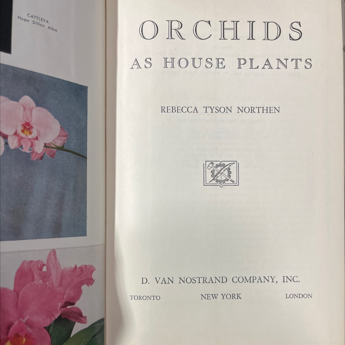 orchids as house plants book, by rebecca tyson northen, 1955 Hardcover image 2