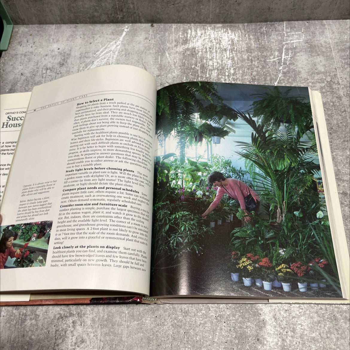 ortho's complete guide to successful houseplant care book, by charles c. powell, m. vining, 1984 Hardcover image 4
