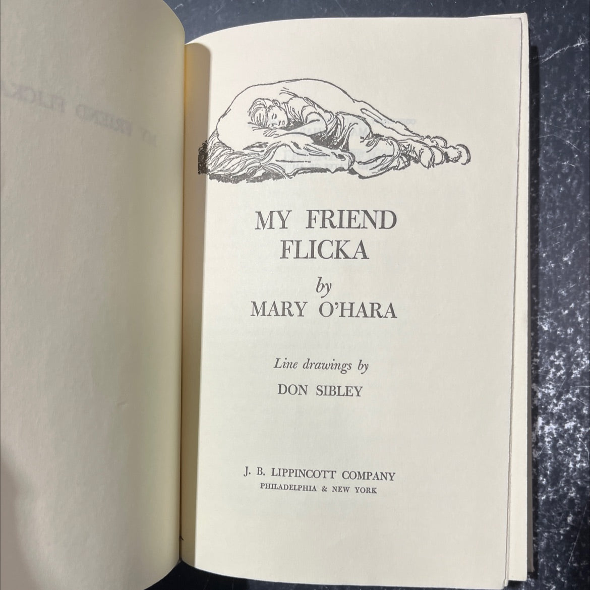 our c my friend flicka book, by mary o'hara, 1969 Hardcover image 2