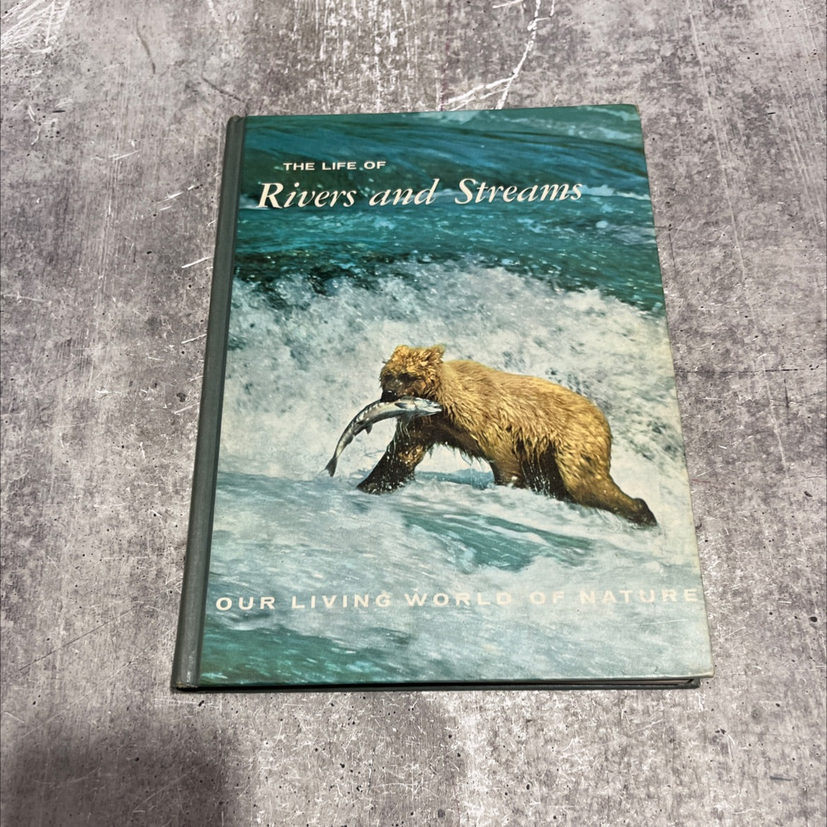 our living world of nature the life of rivers and streams book, by robert l. usinger, 1970 Hardcover image 1