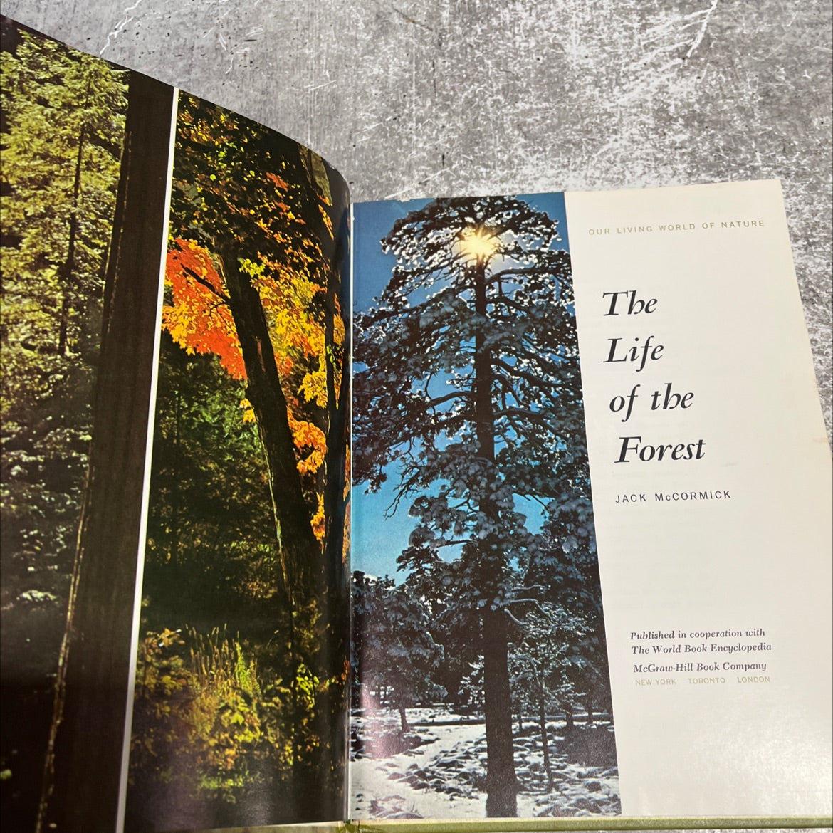our living world of nature the life of the forest book, by jack mccormick, 1969 Hardcover image 2