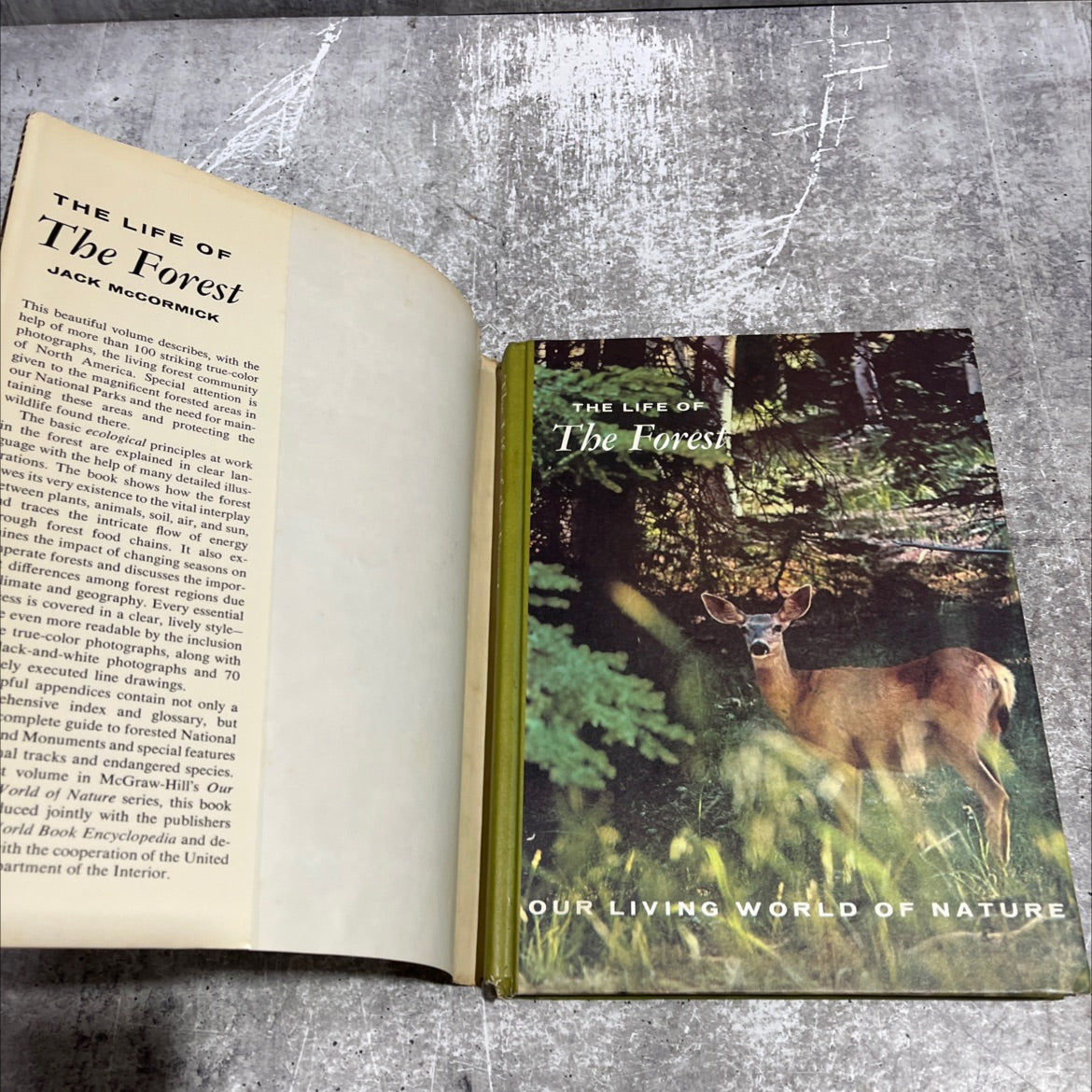 our living world of nature the life of the forest book, by jack mccormick, 1969 Hardcover image 4