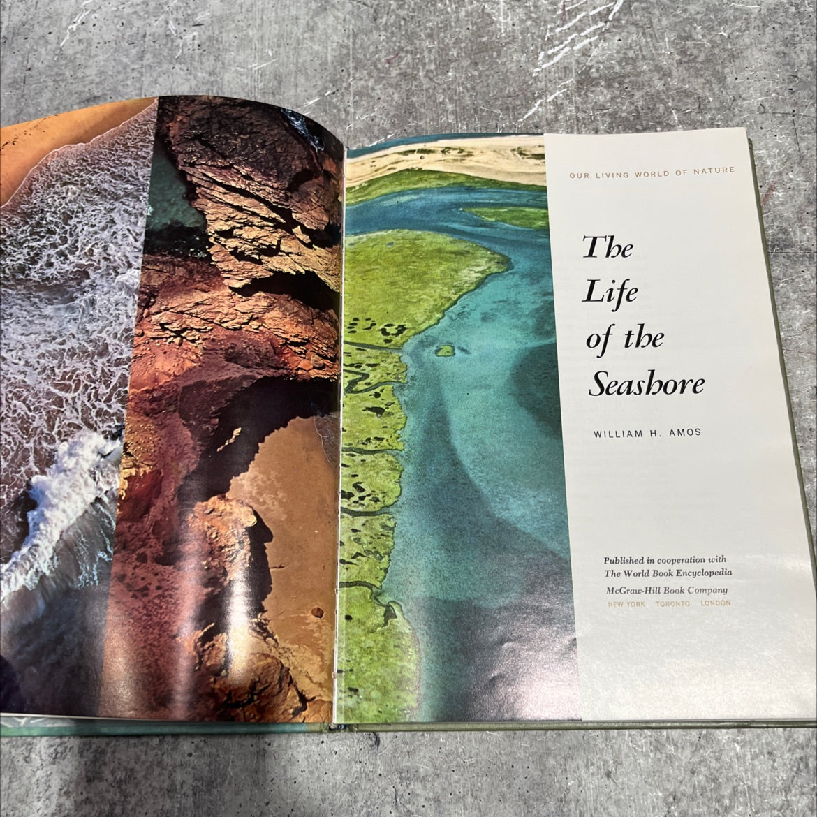 our living world of nature the life of the seashore book, by william h. amos, 1969 Hardcover image 2