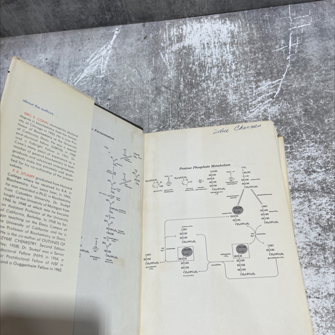 outlines of biochemistry book, by Eric E. Conn and P. K. Stumpf, 1967 Hardcover image 4
