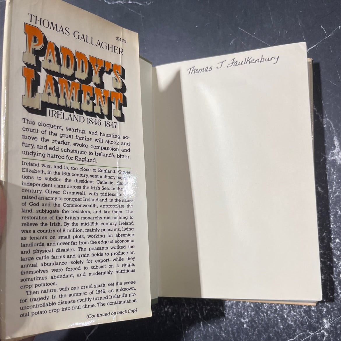 paddy's lament book, by Thomas Gallagher, 1982 Hardcover image 4