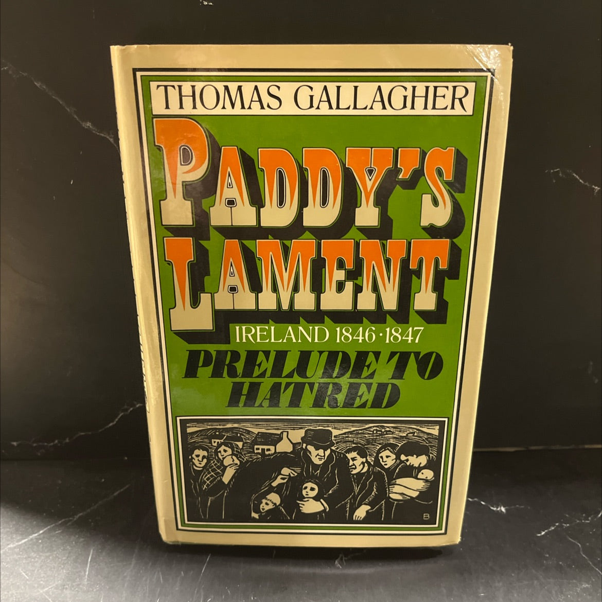 paddy's lament book, by Thomas Gallagher, 1982 Hardcover image 1