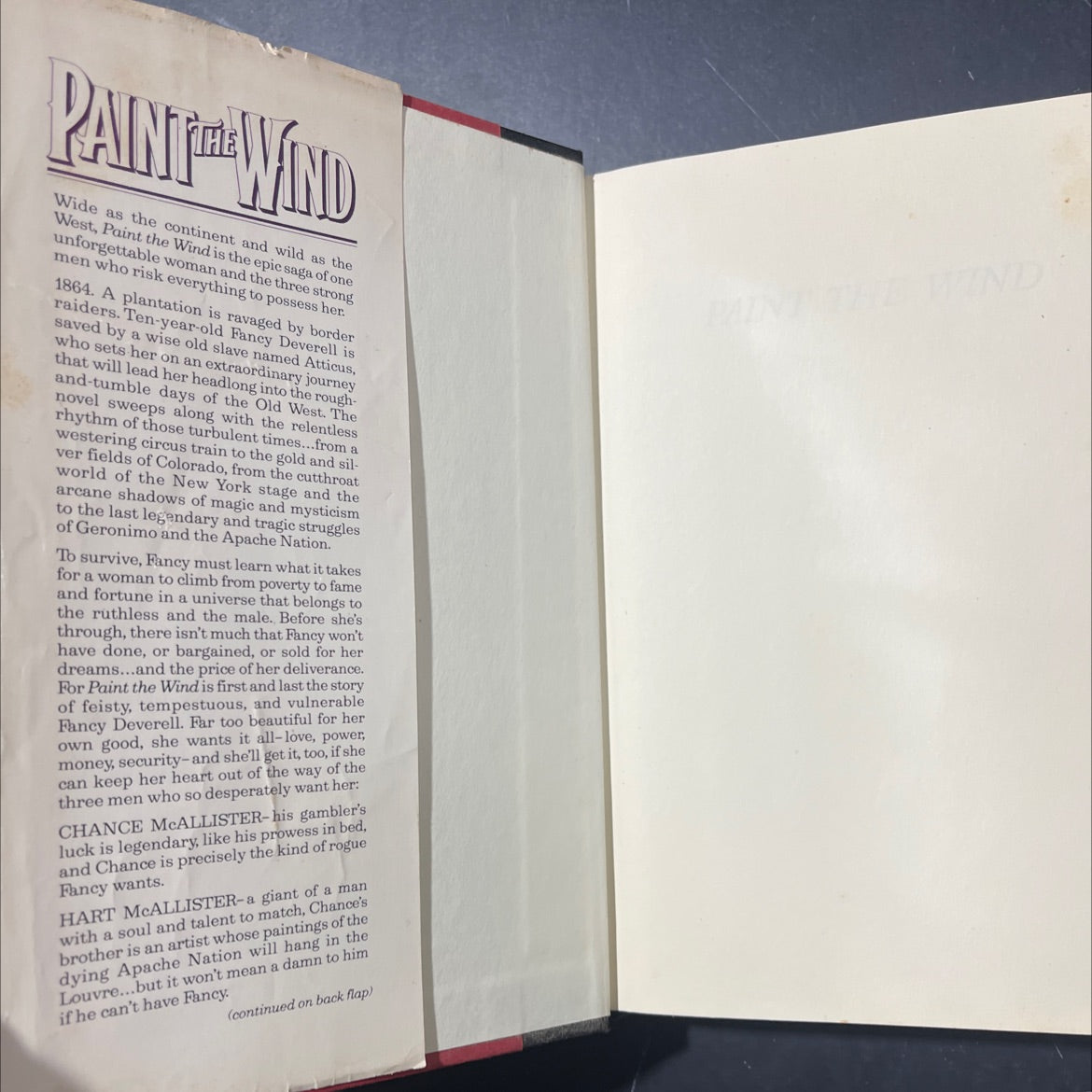 paint the wind book, by Cathy Cash Spellman, 1989 Hardcover image 4