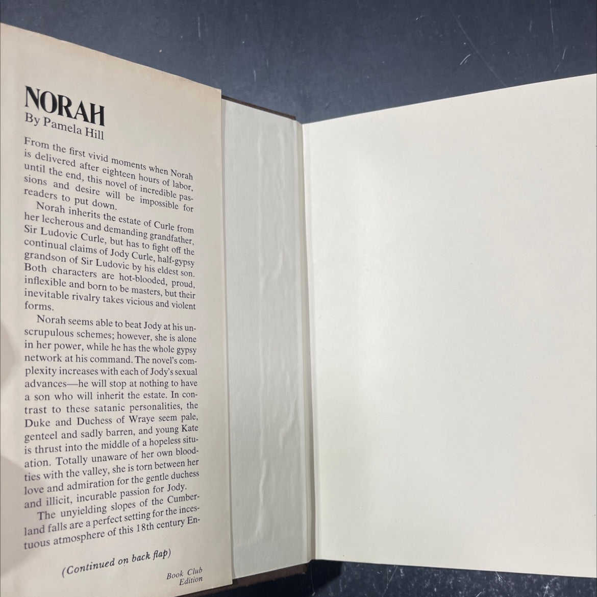 pamela hill book, by Pamela Hill, 1976 Hardcover image 4