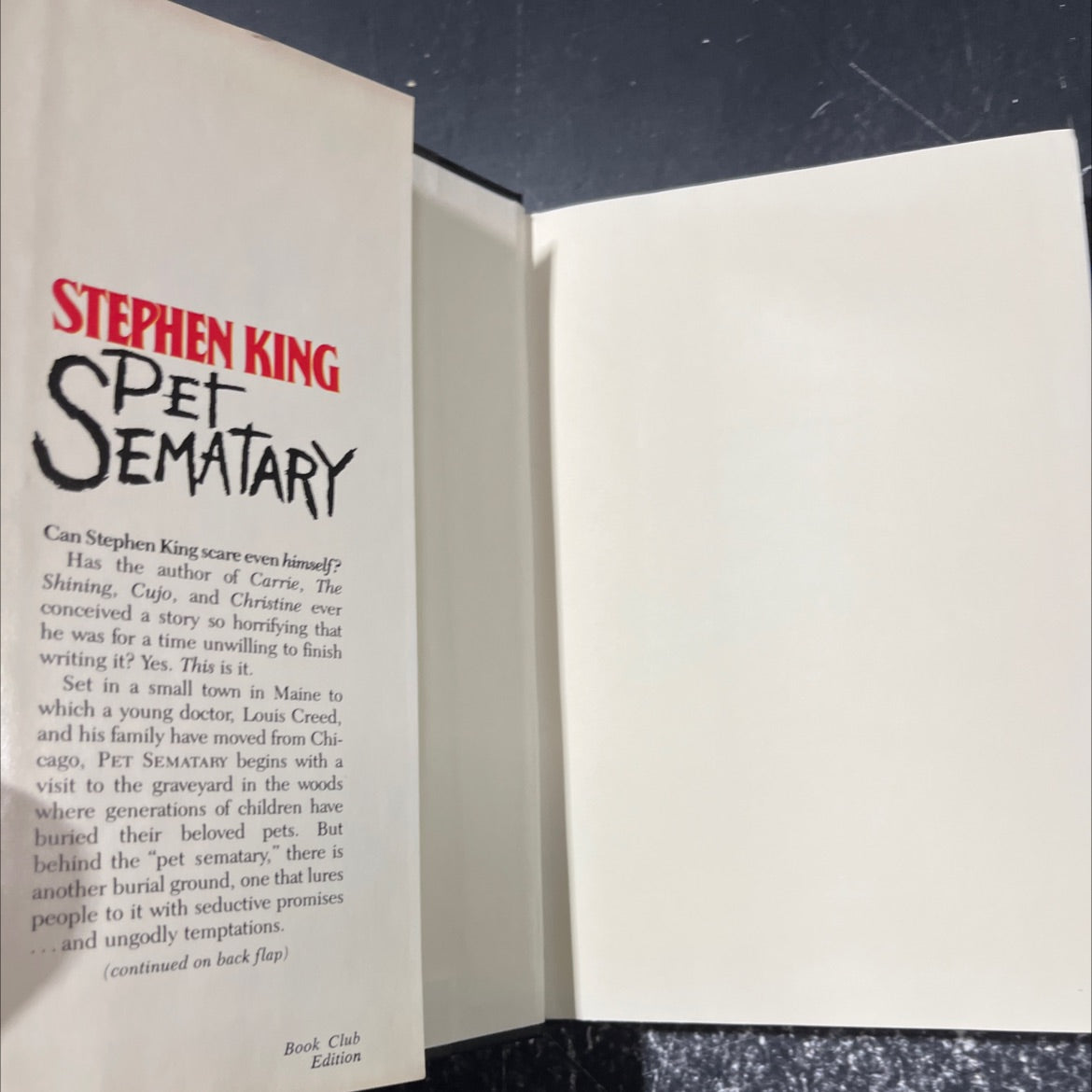 pet sematary book, by stephen king, 1983 Hardcover image 4